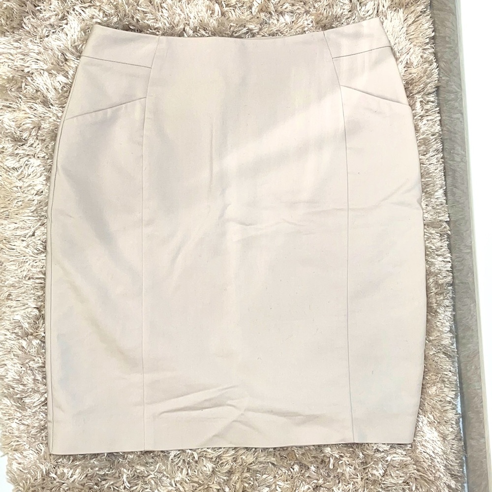 H&M Skirt